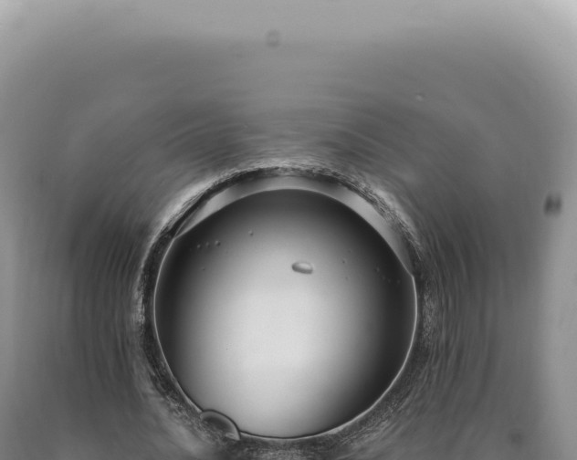 X0000090770628200707271528