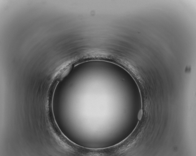 X0000090770629200707271528