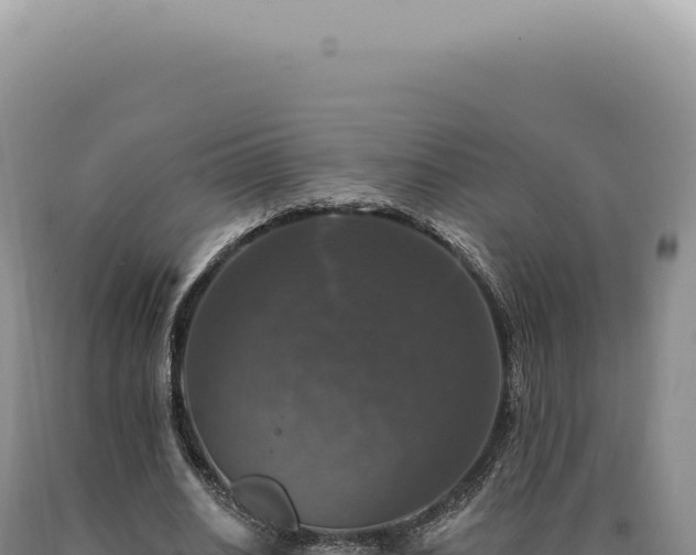 X0000090770630200707271528