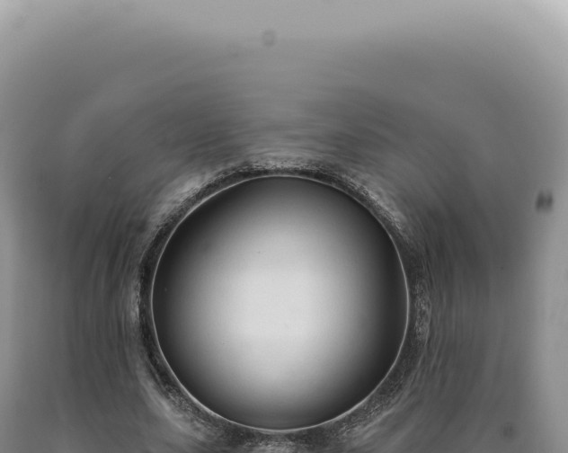 X0000090770631200707271528