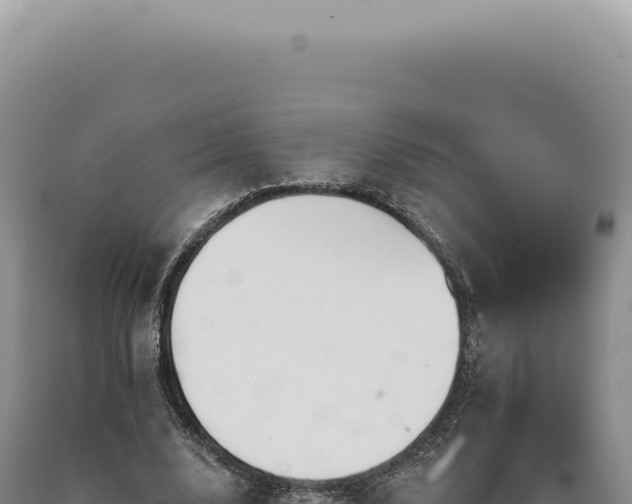 X0000090770632200707271528