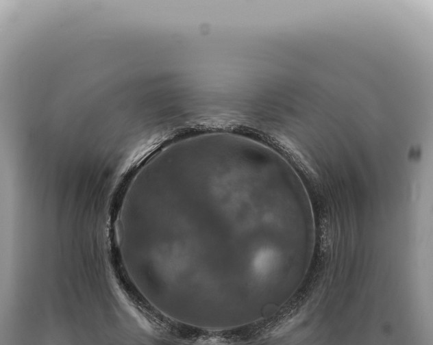 X0000090770634200707271528