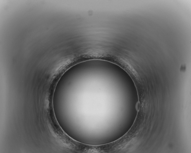 X0000090770635200707271528