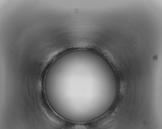 X0000090770636200707271528