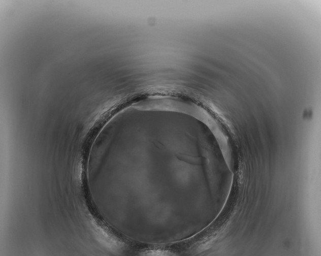 X0000090770637200707271528