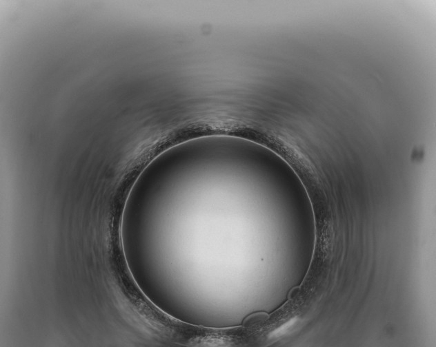 X0000090770639200707271528