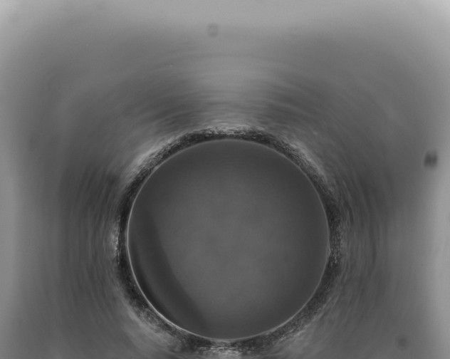 X0000090770640200707271528