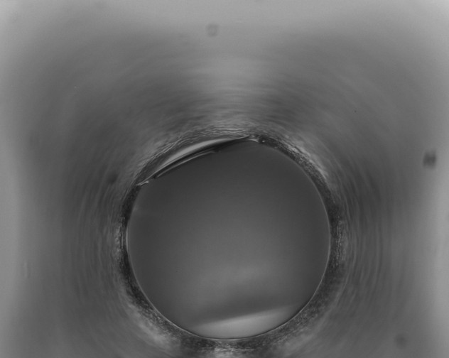 X0000090770641200707271528