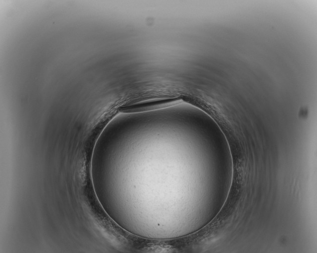 X0000090770642200707271528