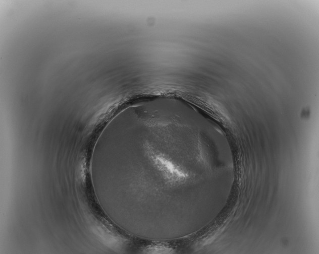 X0000090770644200707271528