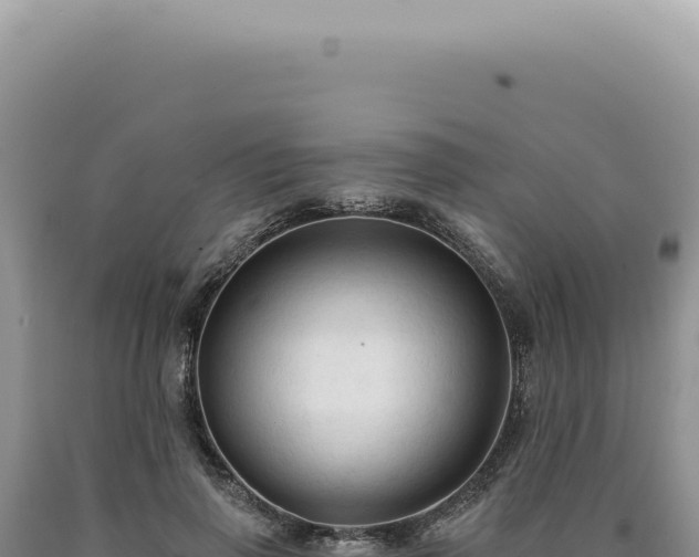 X0000090770645200707271528