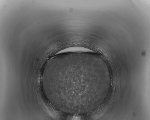 X0000090770647200707271528