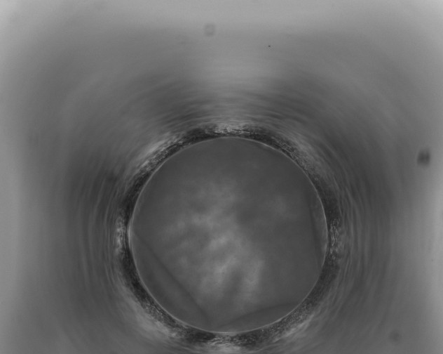 X0000090770648200707271528