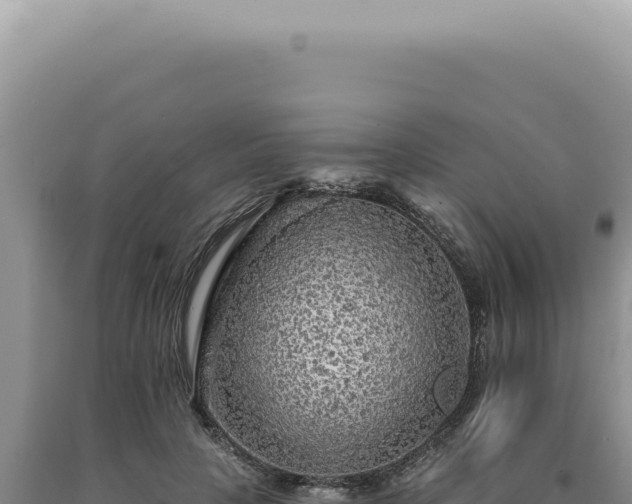 X0000090770649200707271528