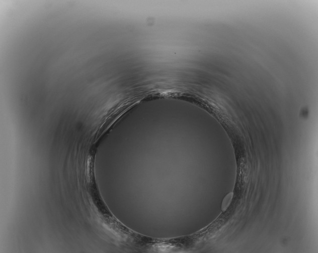 X0000090770650200707271528