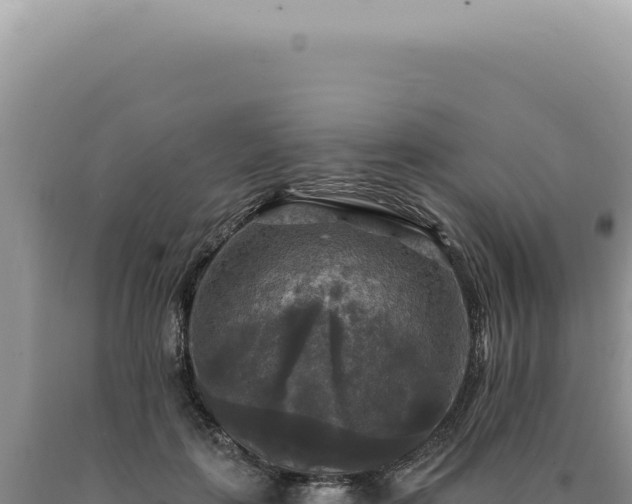 X0000090770651200707271528