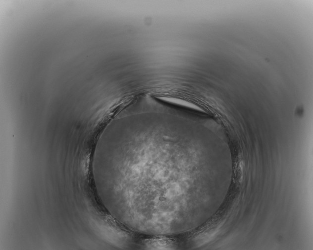 X0000090770652200707271528