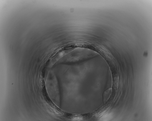 X0000090770653200707271528