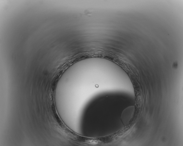 X0000090770654200707271528