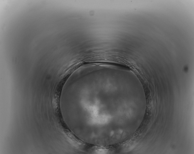 X0000090770658200707271528
