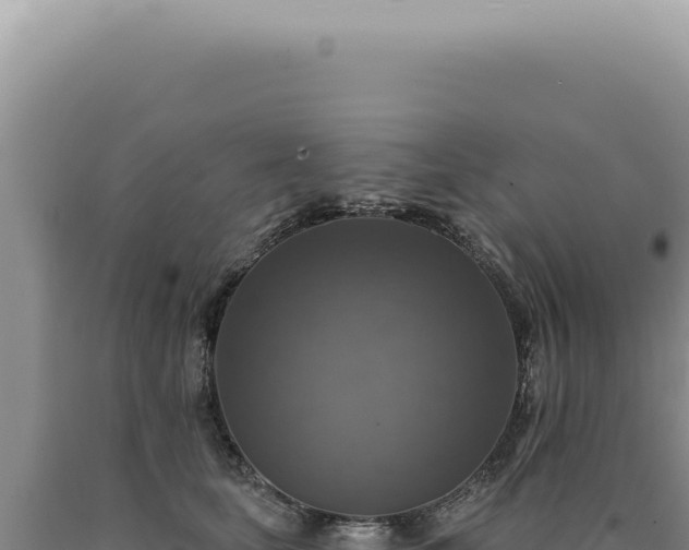 X0000090770659200707271528