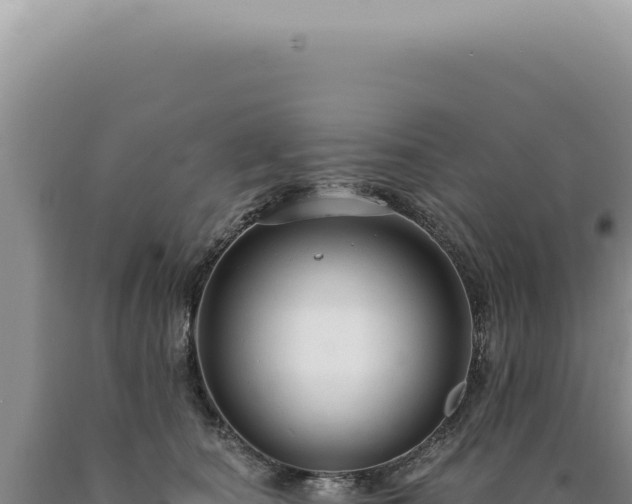 X0000090770660200707271528