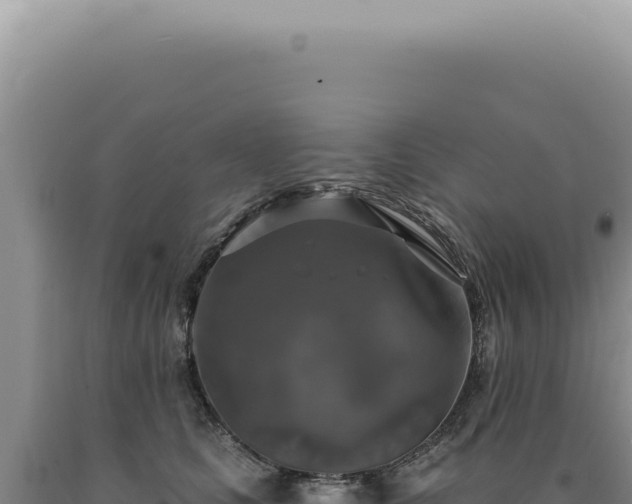 X0000090770661200707271528