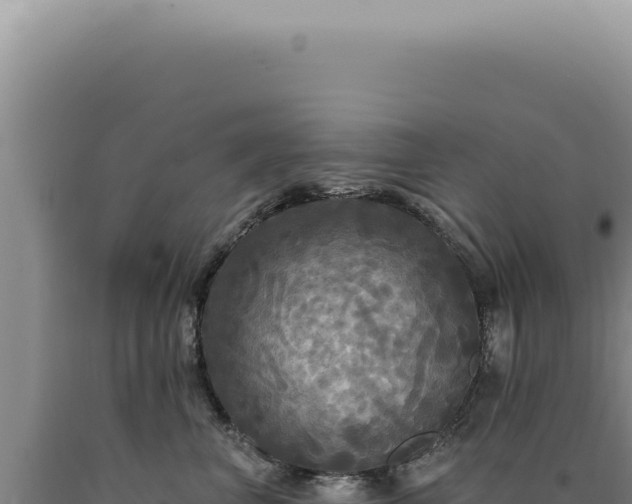 X0000090770667200707271528