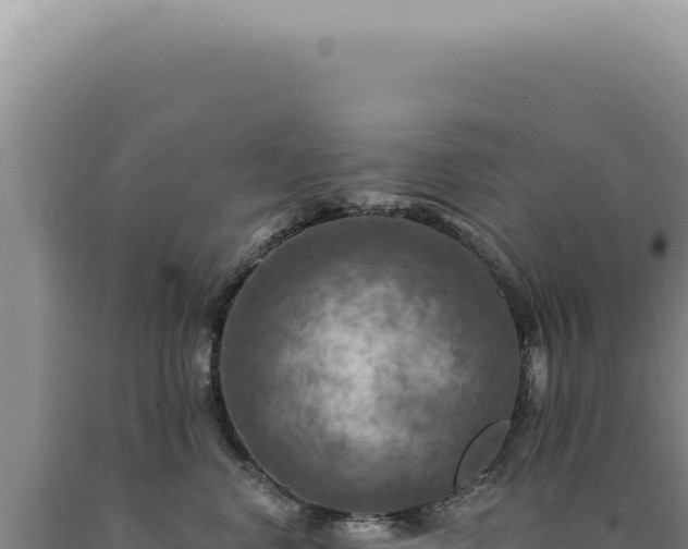 X0000090770668200707271528