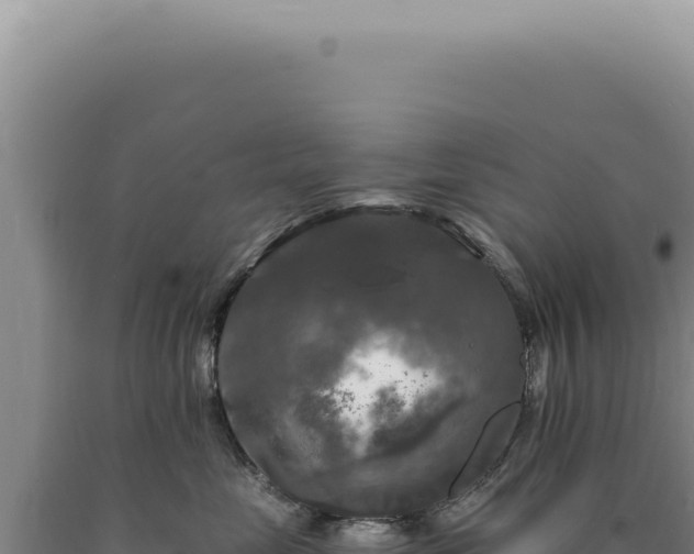 X0000090770669200707271529