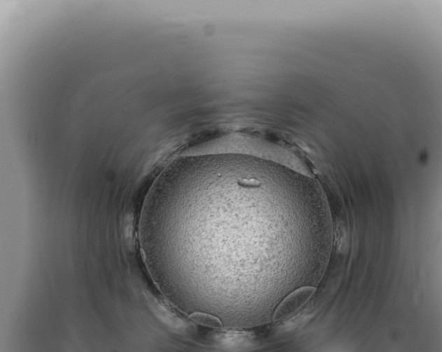 X0000090770670200707271529