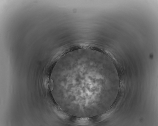 X0000090770671200707271529