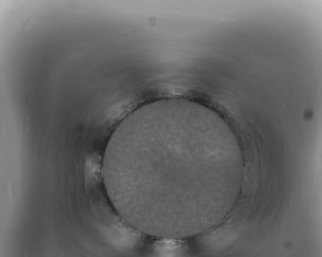 X0000090770672200707271529