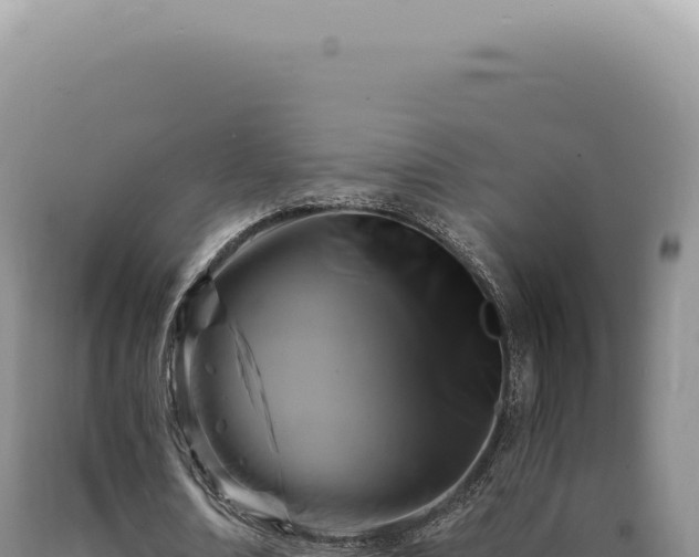 X0000090770674200707271528