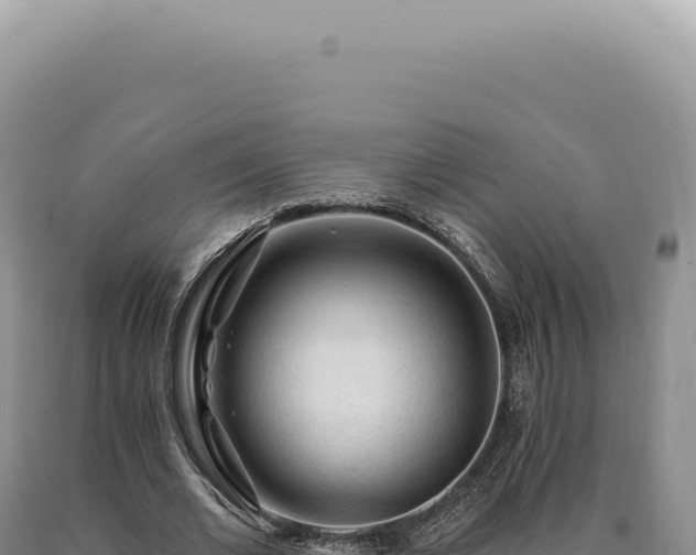 X0000090770677200707271528