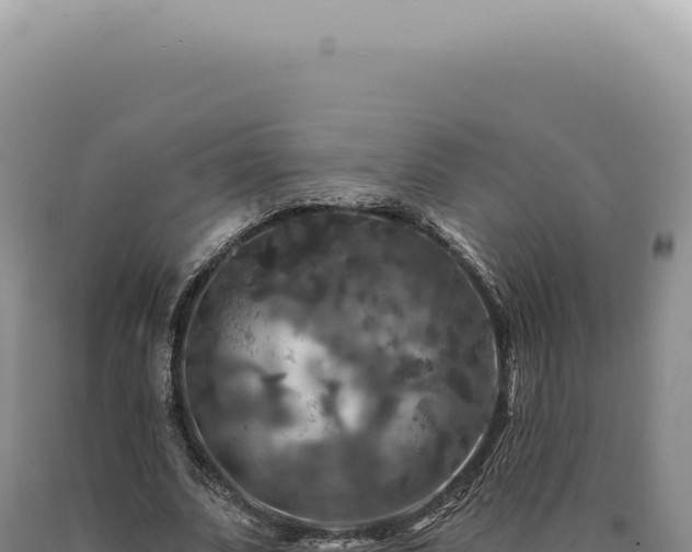X0000090770679200707271528