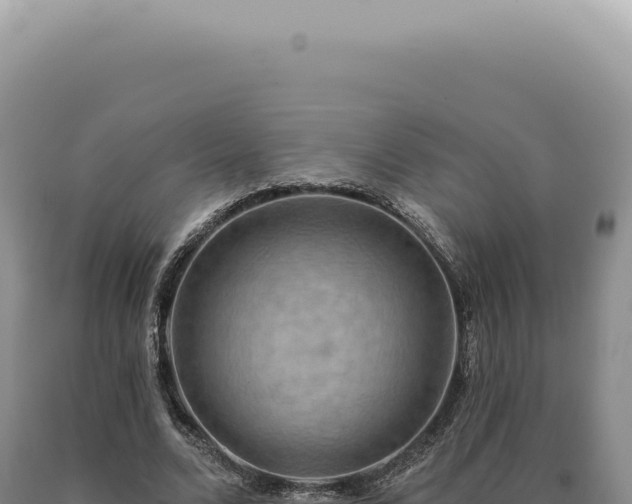 X0000090770680200707271528