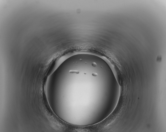 X0000090770681200707271528