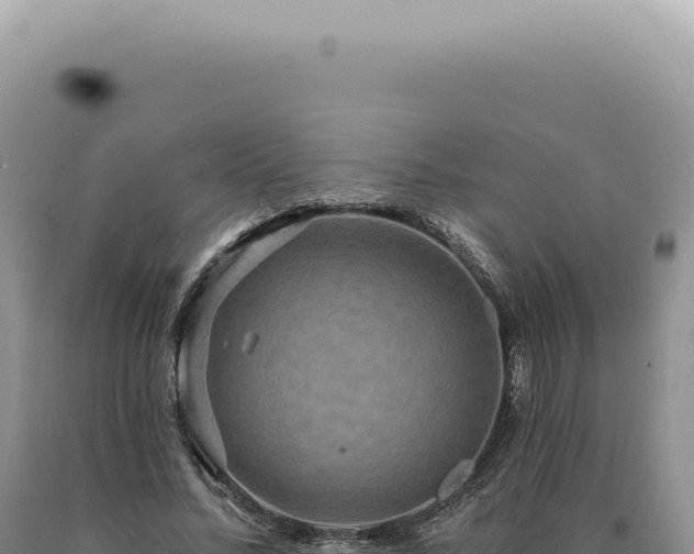 X0000090770684200707271528
