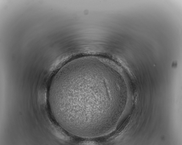 X0000090770685200707271528