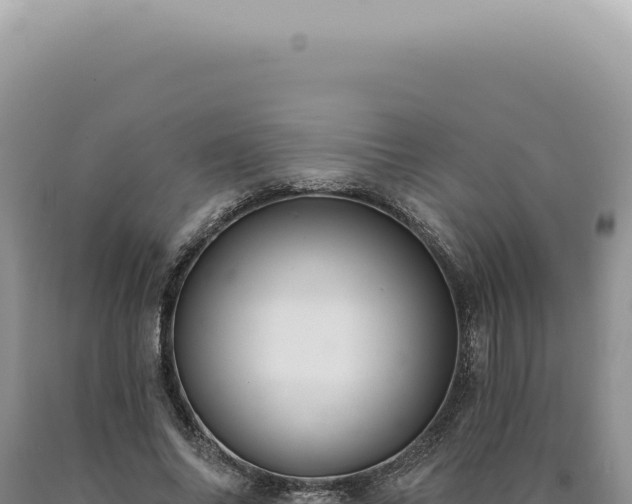 X0000090770686200707271528