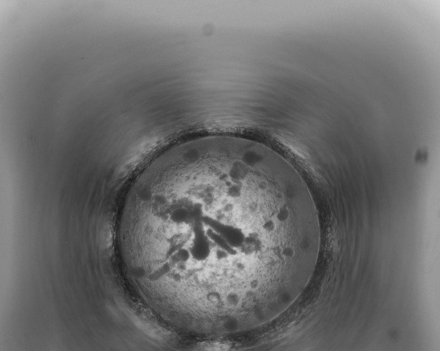 X0000090770687200707271528