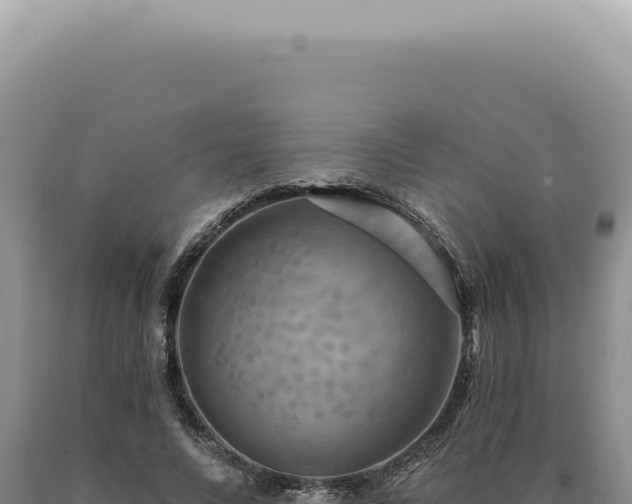 X0000090770688200707271528