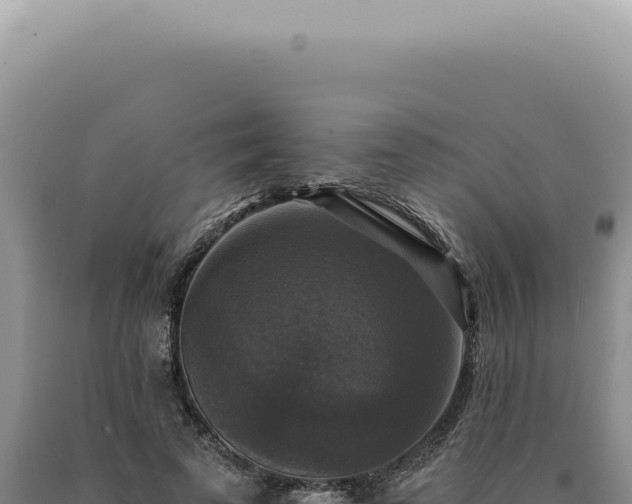 X0000090770689200707271528