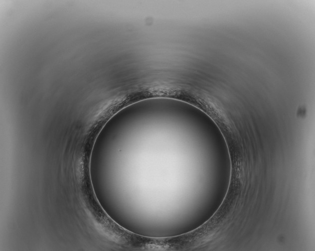 X0000090770690200707271528