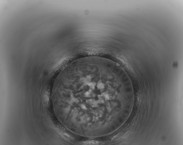 X0000090770691200707271528
