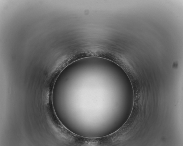 X0000090770694200707271528