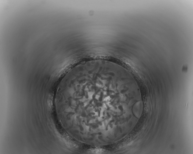 X0000090770695200707271528
