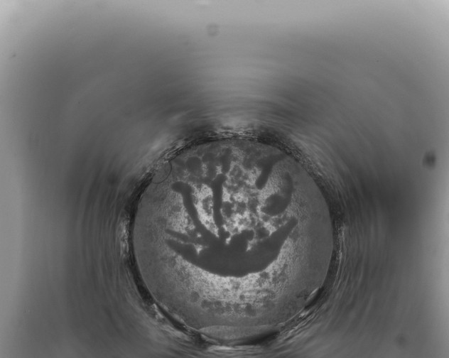 X0000090770699200707271527