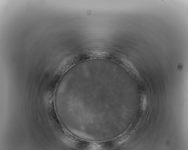 X0000090770701200707271527